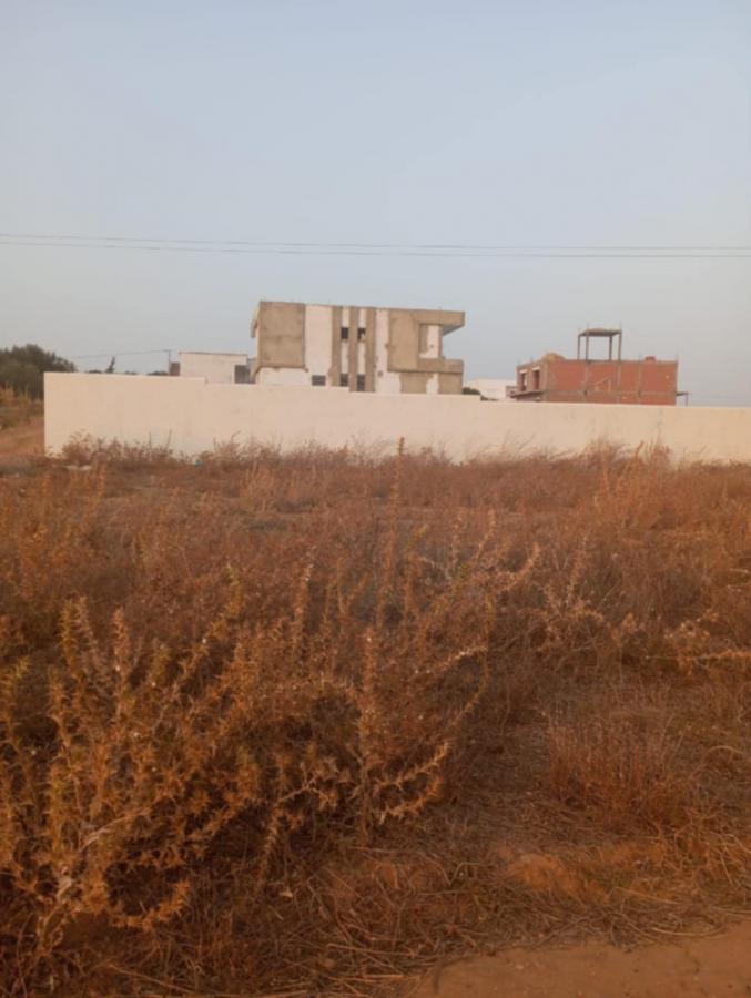 Vente Terrain HAMMAMET SUD TUNISIE  