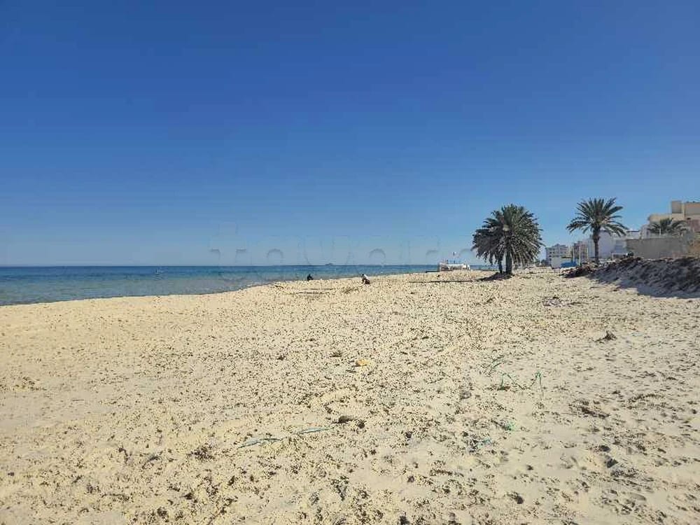 Vente&nbsp;Terrain&nbsp;HERGLA&nbsp;TUNISIE&nbsp;&nbsp;
