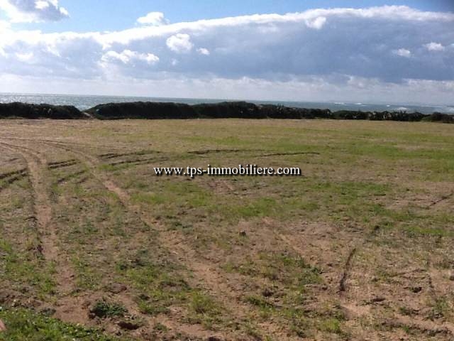 Vente&nbsp;Terrain&nbsp;JINEN BNI KHIAR&nbsp;TUNISIE&nbsp;&nbsp;
