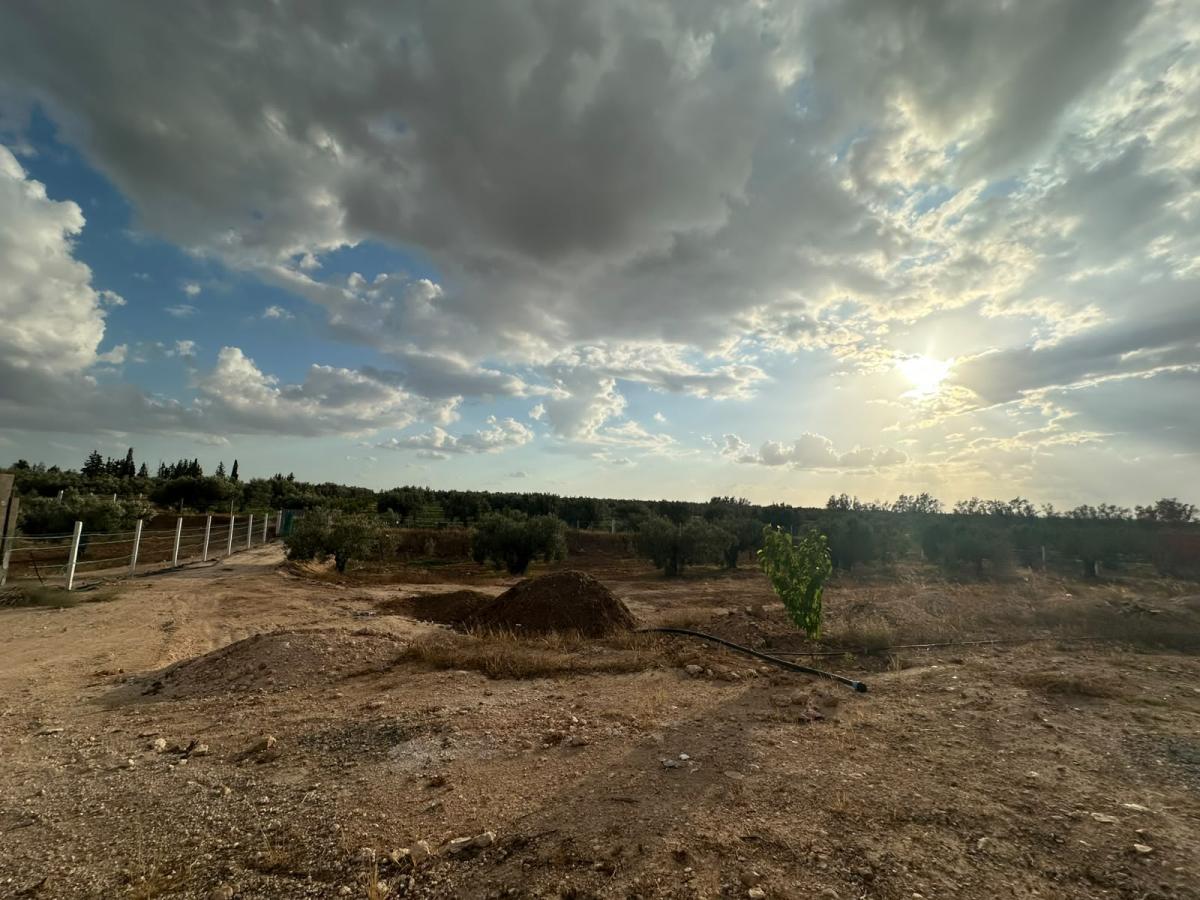 Vente&nbsp;Terrain&nbsp;KALAA-KEBIRA&nbsp;TUNISIE&nbsp;&nbsp;