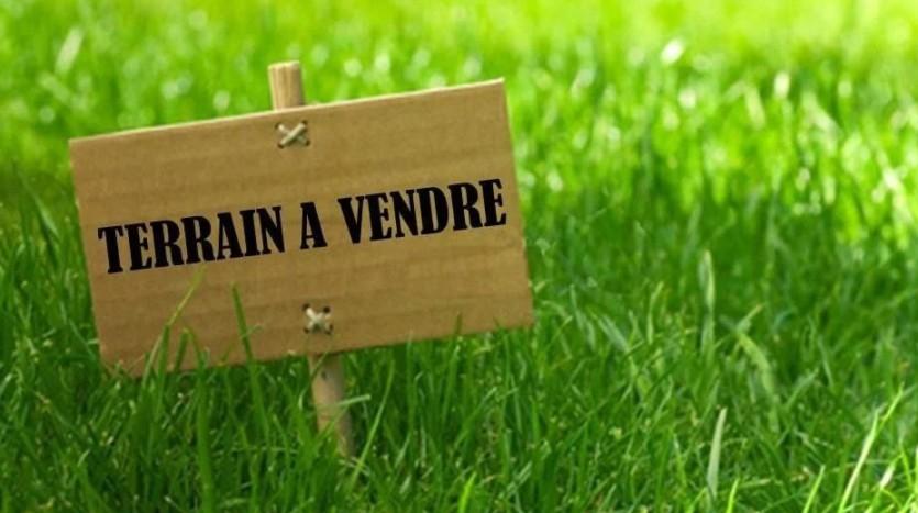 Vente Terrain MAHDIA TUNISIE  