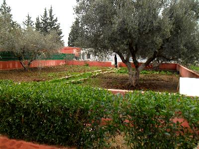 Vente Terrain MORNAG TUNISIE  