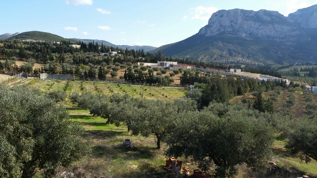 Vente&nbsp;Terrain&nbsp;MORNAG&nbsp;TUNISIE&nbsp;&nbsp;
