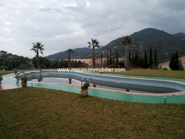 Vente Terrain MORNEG TUNISIE  