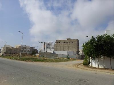 Vente&nbsp;Terrain&nbsp;MREZKA AFH&nbsp;TUNISIE&nbsp;&nbsp;