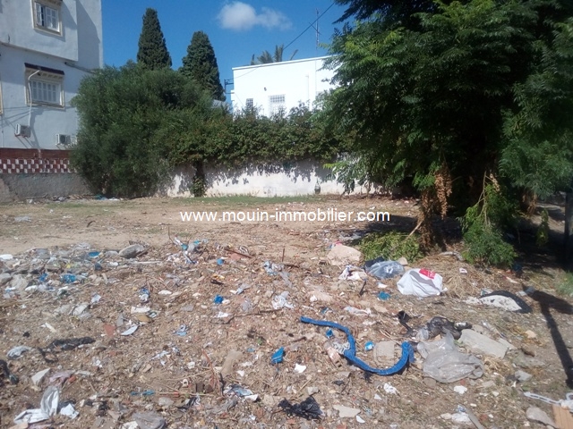 Vente&nbsp;Terrain&nbsp;MUTUELLE VILLE&nbsp;TUNISIE&nbsp;&nbsp;