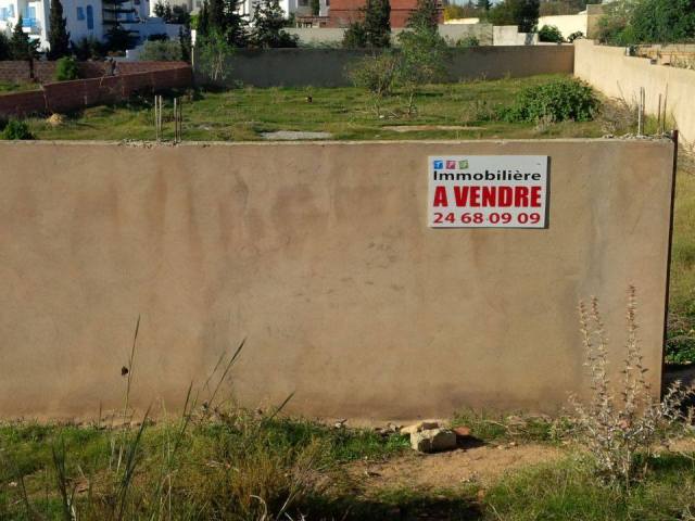 Vente Terrain NABEUL TUNISIE  