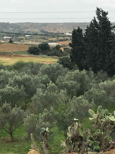 Vente&nbsp;Terrain&nbsp;NABEUL&nbsp;TUNISIE&nbsp;&nbsp;