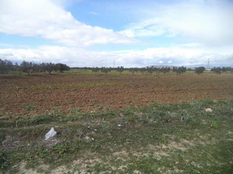 Vente&nbsp;Terrain&nbsp;NABEUL&nbsp;TUNISIE&nbsp;&nbsp;