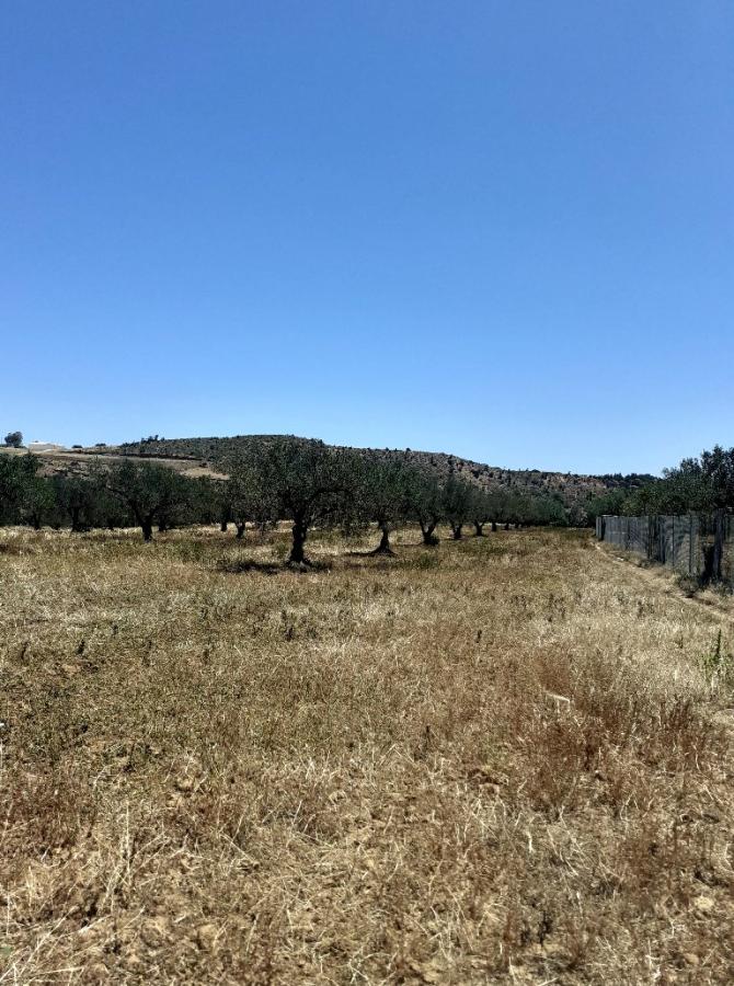 Vente&nbsp;Terrain&nbsp;NABEUL&nbsp;TUNISIE&nbsp;&nbsp;