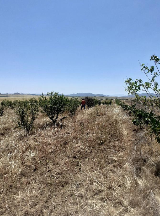 Vente Terrain NABEUL TUNISIE  