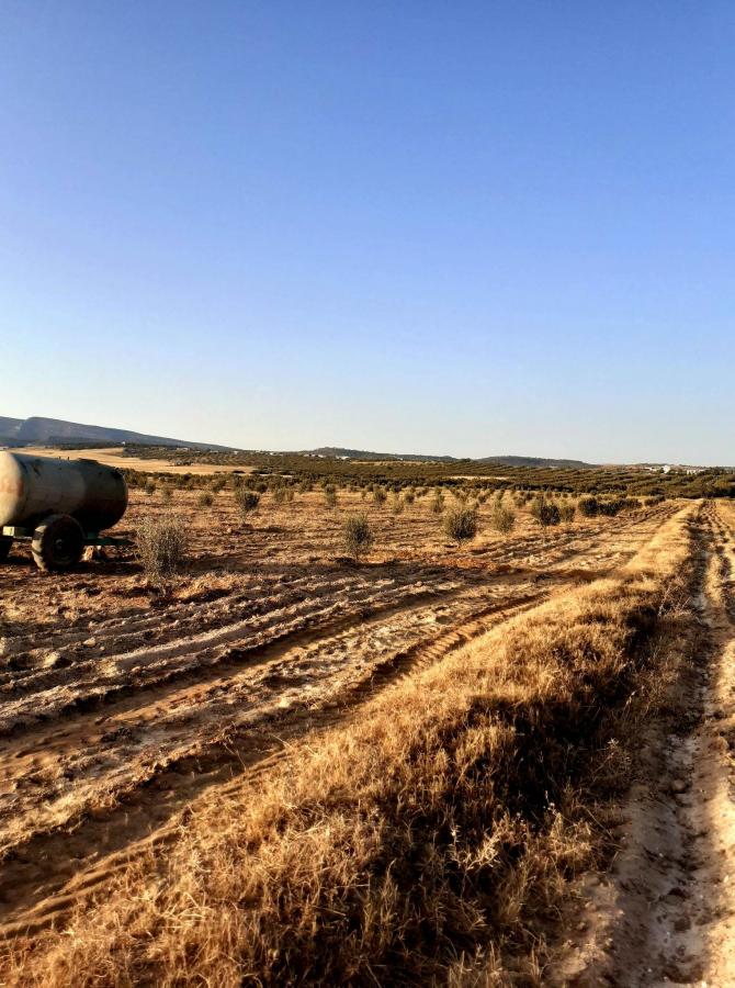 Vente Terrain NABEUL TUNISIE  