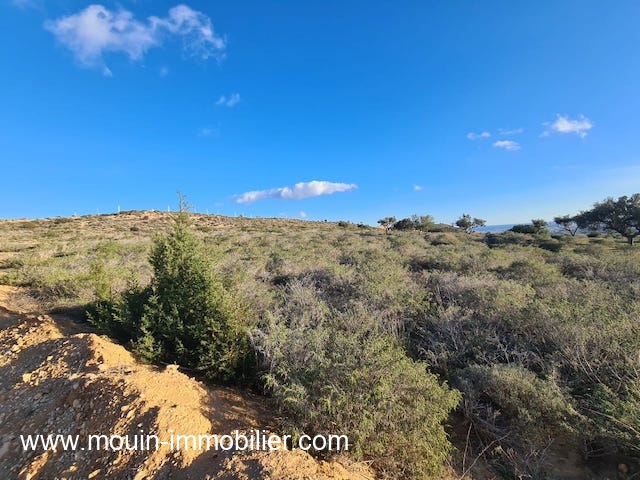 Vente&nbsp;Terrain&nbsp;NABEUL&nbsp;TUNISIE&nbsp;&nbsp;