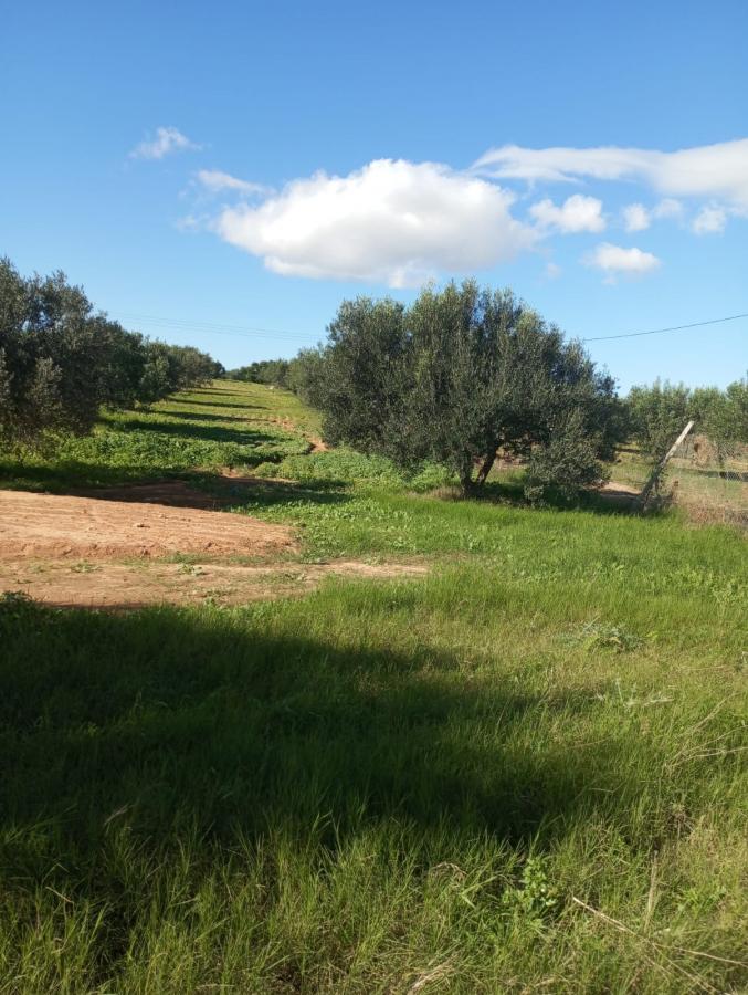 Vente&nbsp;Terrain&nbsp;NABEUL&nbsp;TUNISIE&nbsp;&nbsp;