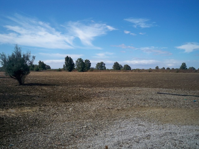 Vente&nbsp;Terrain&nbsp;OUED MAJRDA&nbsp;TUNISIE&nbsp;&nbsp;