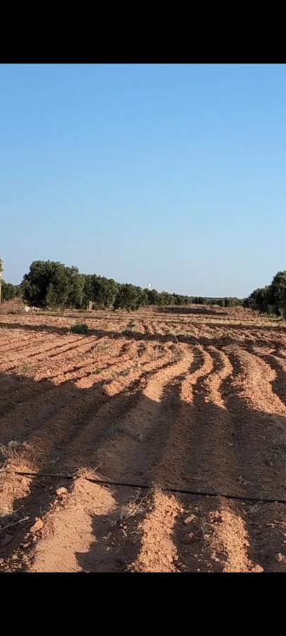 Vente&nbsp;Terrain&nbsp;SFAX&nbsp;TUNISIE&nbsp;&nbsp;