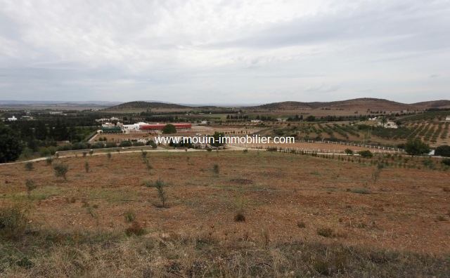 Vente Terrain SIDI THABET TUNISIE  