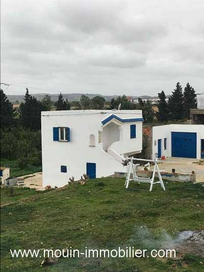 Vente&nbsp;Terrain&nbsp;SOMAA&nbsp;TUNISIE&nbsp;&nbsp;