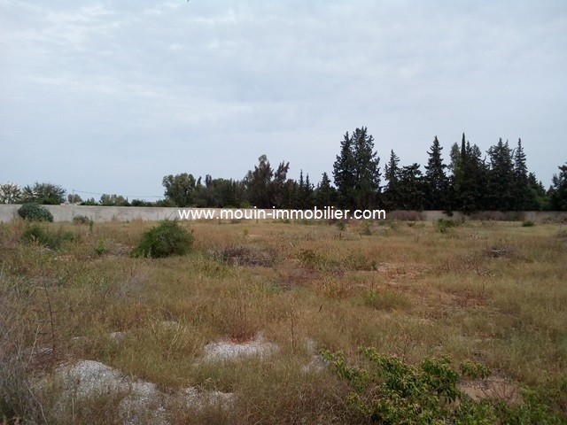 Vente Terrain SOUKRA TUNISIE  