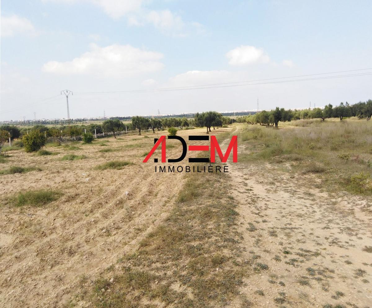 Vente&nbsp;Terrain&nbsp;SOUSSE&nbsp;TUNISIE&nbsp;&nbsp;
