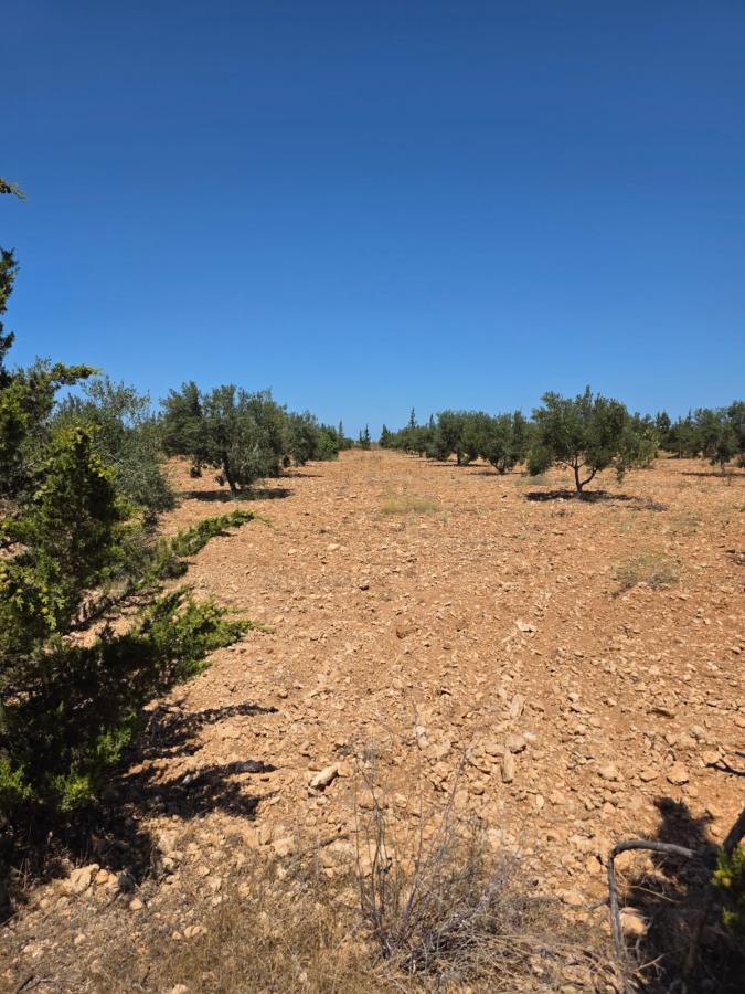 Vente Terrain SOUSSE TUNISIE  