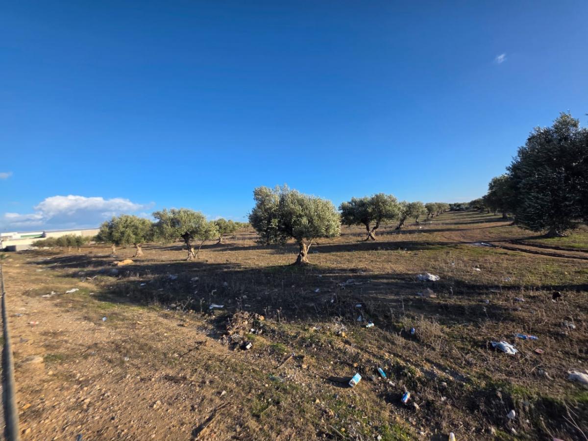 Vente&nbsp;Terrain&nbsp;SOUSSE&nbsp;TUNISIE&nbsp;&nbsp;