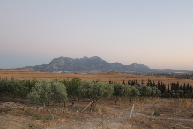 Vente&nbsp;Terrain&nbsp;ZAGHOUAN&nbsp;TUNISIE&nbsp;&nbsp;