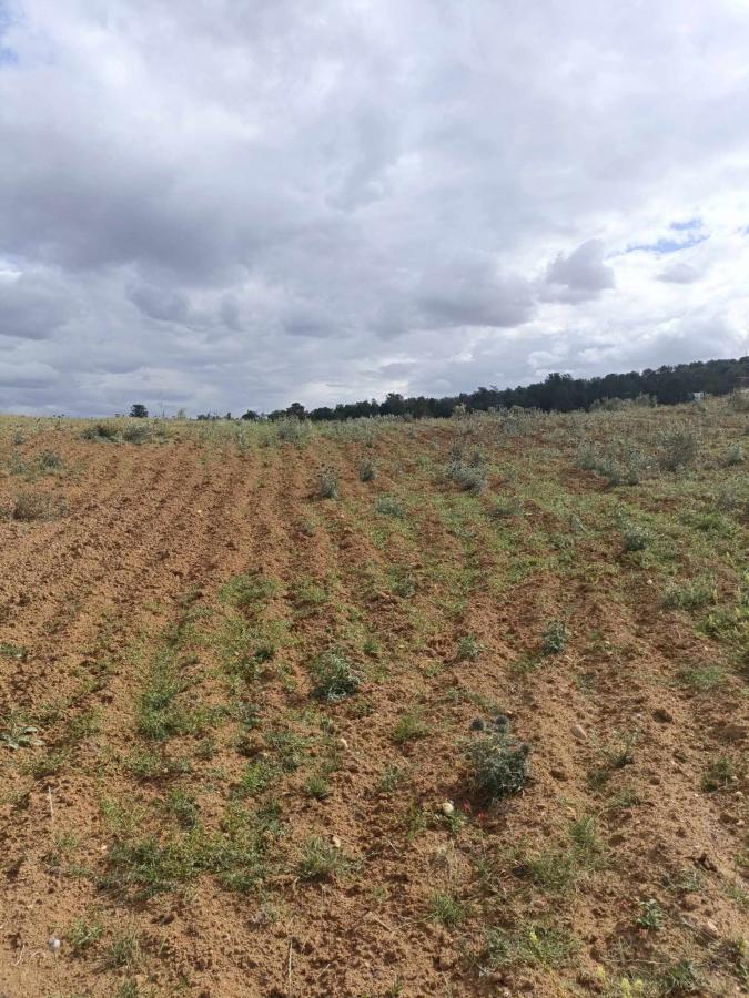Vente&nbsp;Terrain&nbsp;ZAGHOUAN&nbsp;TUNISIE&nbsp;&nbsp;