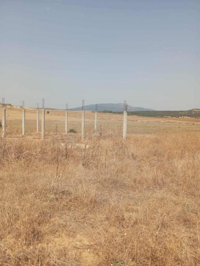 Vente Terrain ZAGHOUAN TUNISIE  