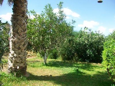Location annuelle&nbsp;Appartement&nbsp;HAMMAMET&nbsp;TUNISIE&nbsp;&nbsp;