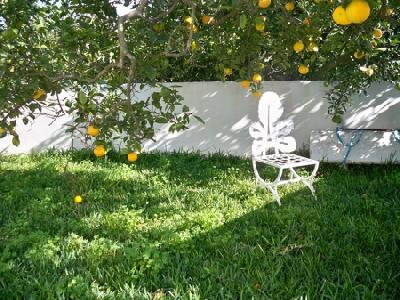 Location annuelle&nbsp;Maison/Villa&nbsp;HAMMAMET&nbsp;TUNISIE&nbsp;&nbsp;
