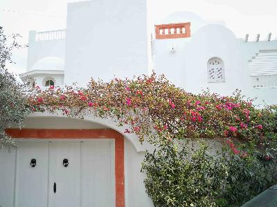 Vente&nbsp;Maison/Villa&nbsp;HAMMAMET-KHARROUBA&nbsp;TUNISIE&nbsp;&nbsp;