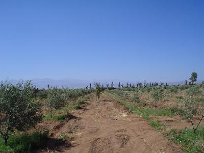 Vente Terrain MARRAKECH MAROC  