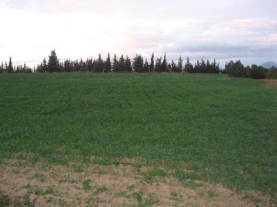 Vente Terrain MORNAG TUNISIE  